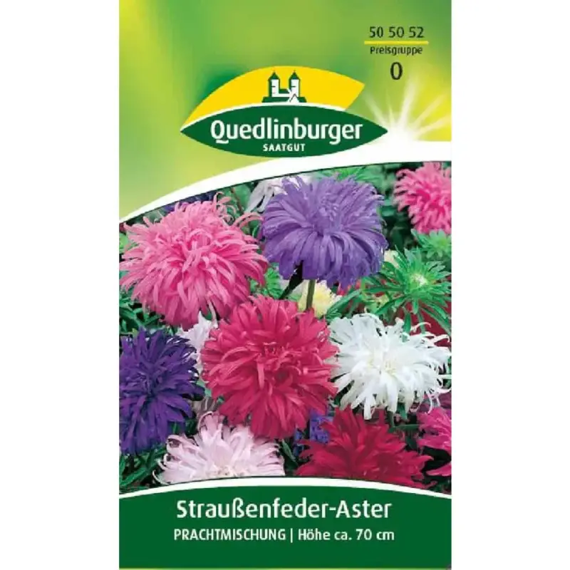 Aster Samen, Straussenfederaster Mischung, Bienenfreundlich Nur Für Kurze Zeit