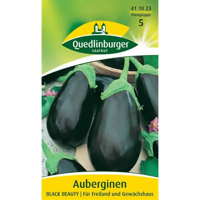 Preis Gesenkt Aubergine pflanzen, Black Beauty, samen