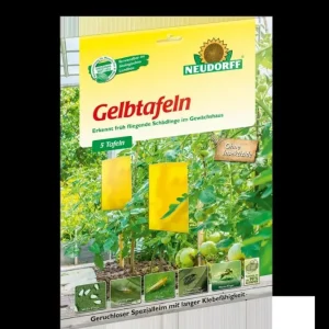 Kracherpreis Gelbtafeln groß, 5er Pack