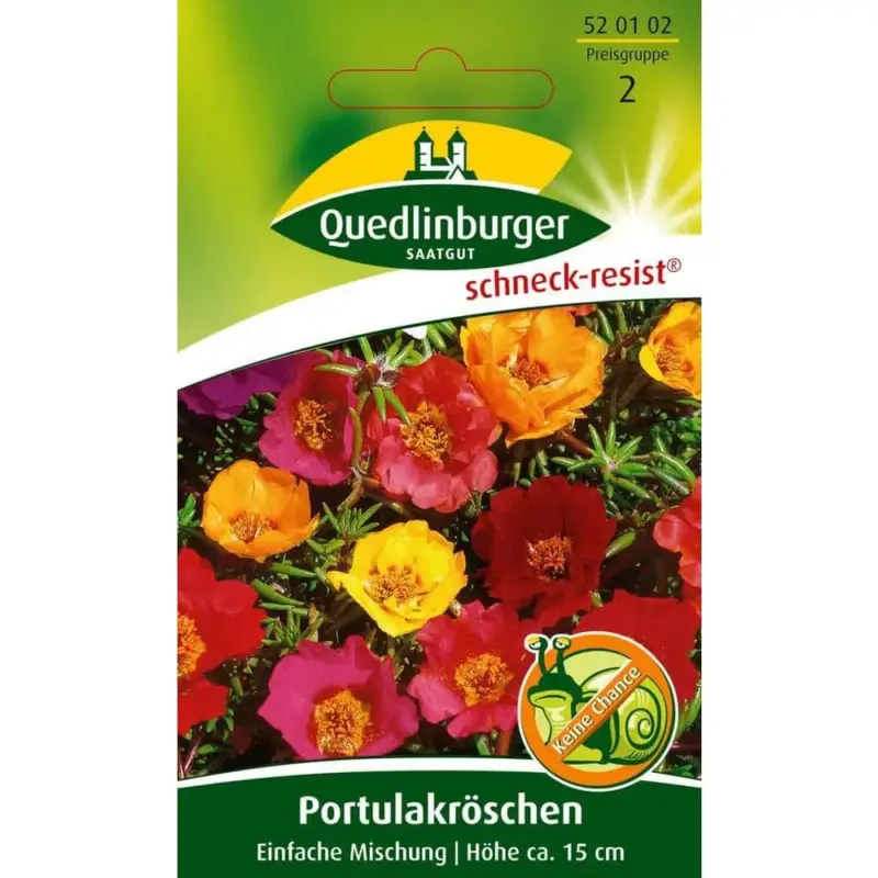 Neuheit Portulakröschen Samen, Sommerblume, Bunte Blütenmischung