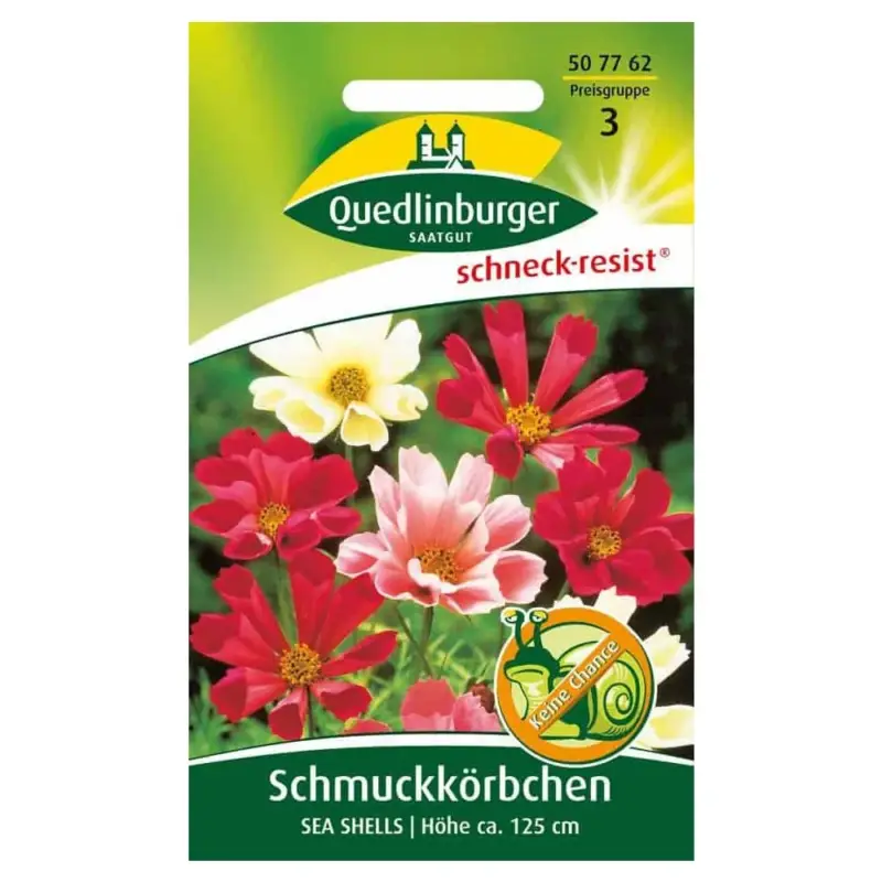 Heißes Angebot Schmuckkörbchen, Sea Shells
