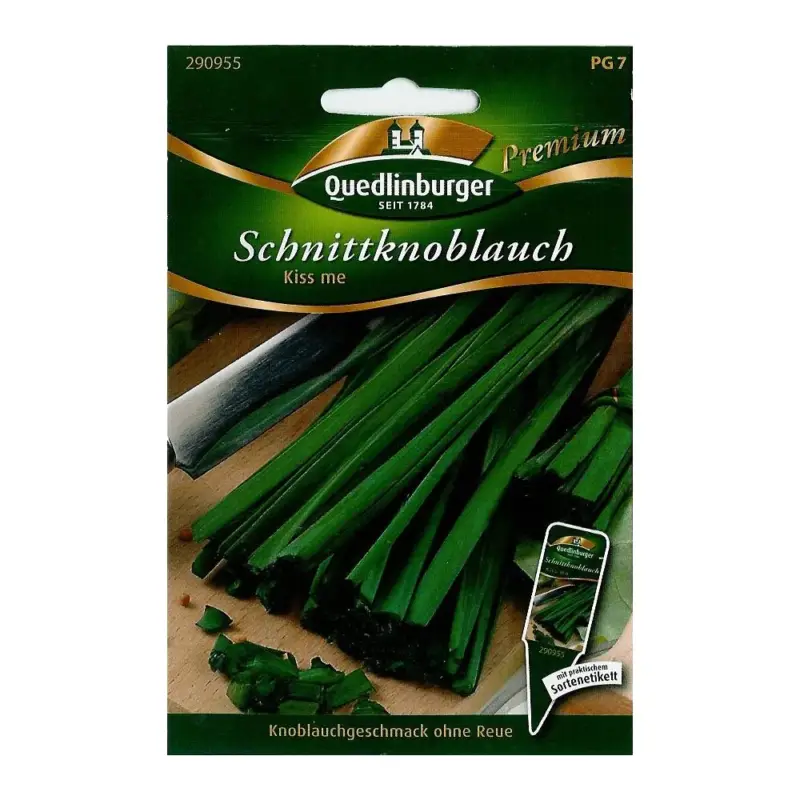 Schnittknoblauch, Knoblauch Schnittlauch, mehrjährig, pflegeleicht Günstig