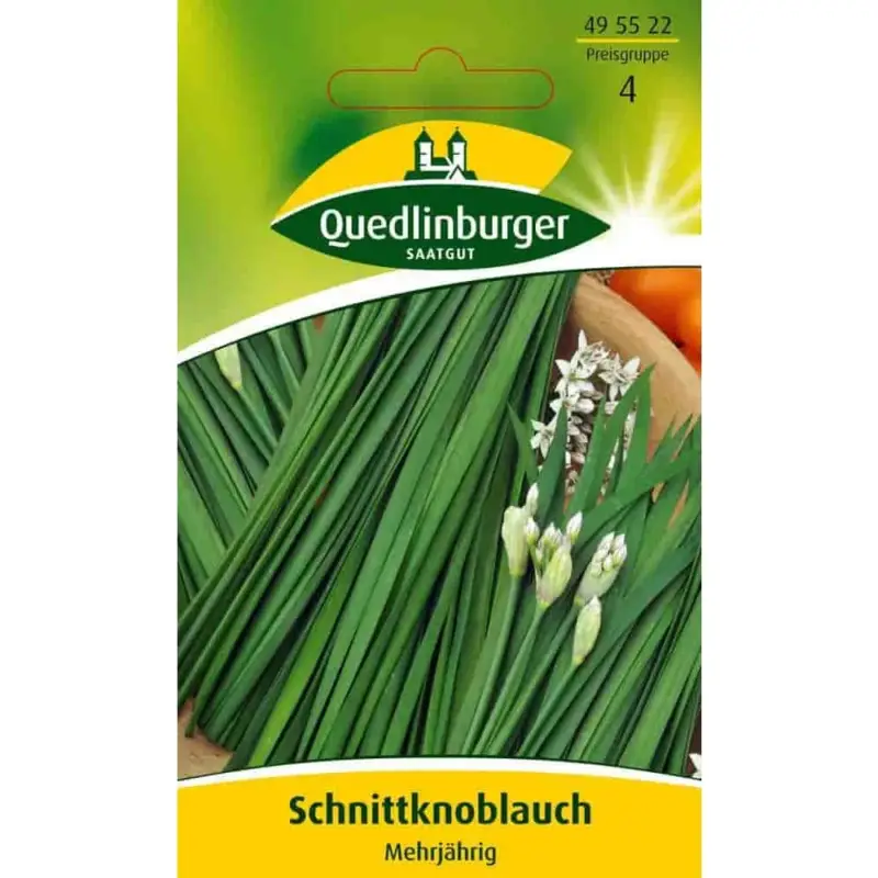 Preisreduziert Schnittknoblauch, mehrjährig