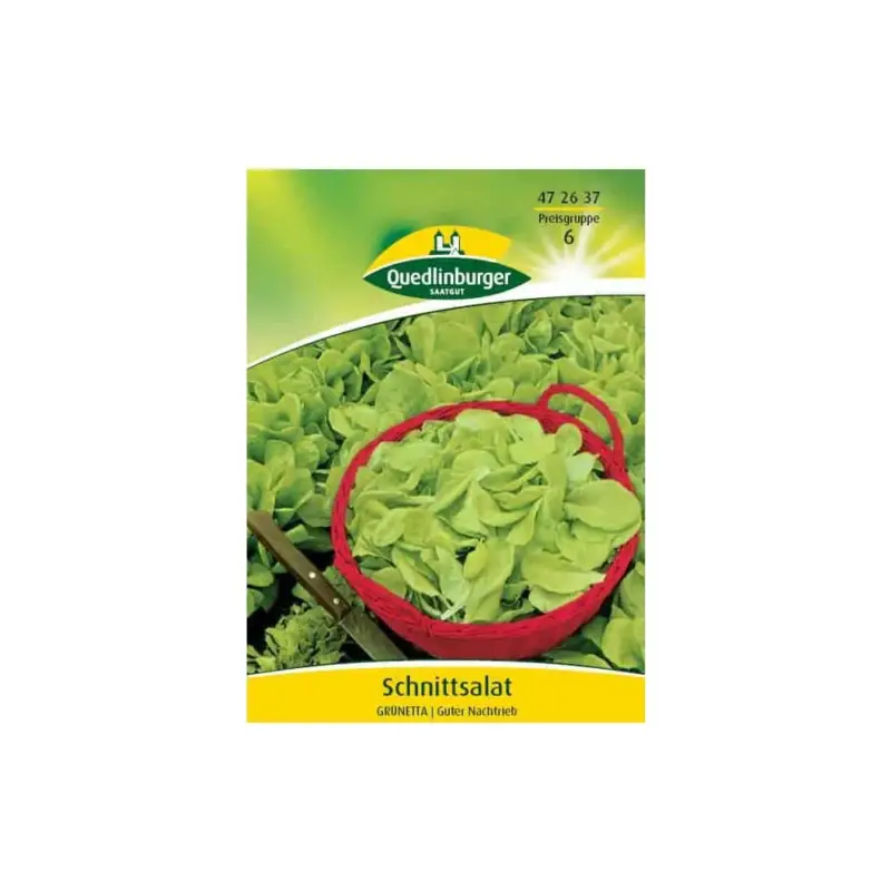 Nur Heute Schnittsalat, Pflücksalat, Salatsamen, Verde Ricciolina, 50g