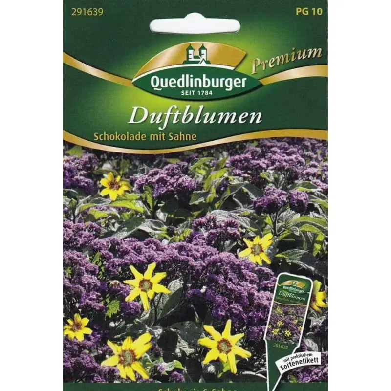 Schokoladenblume Samen, Vanilleblume, Duftblumen, Sommerblumen Top-Preis