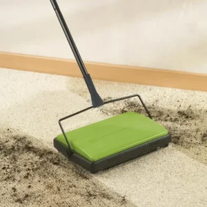 Saisonangebot Teppichkehrer, grün