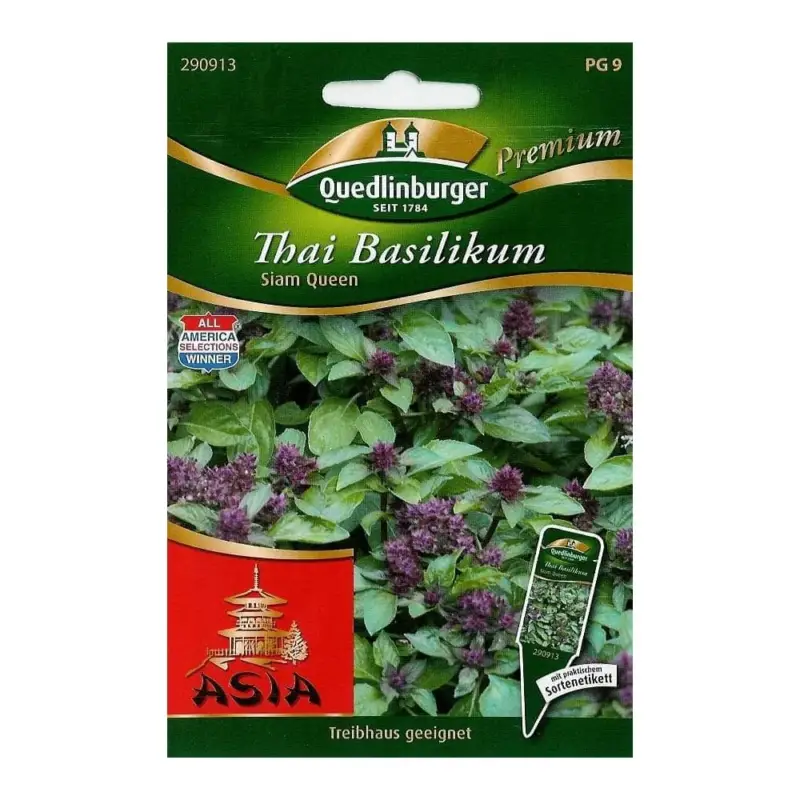 Nur Heute Thai Basilikum Siam Queen, duftendes Kraut für Thai Küche & Balkon