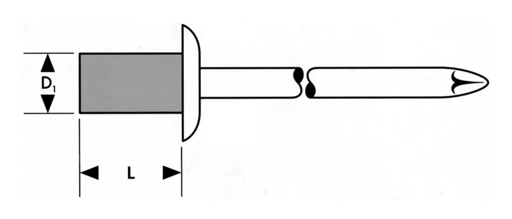 Fortis Blindniete Standard a 100 Stück Flachrundkopf 4 x 14 mm Schnäppchen