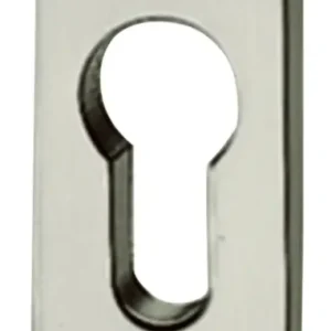 Aktuell FSB Profiltür-Schlüsselrosette Profilzylinder PZ 0171729 oval RAL 9016 (weiß)