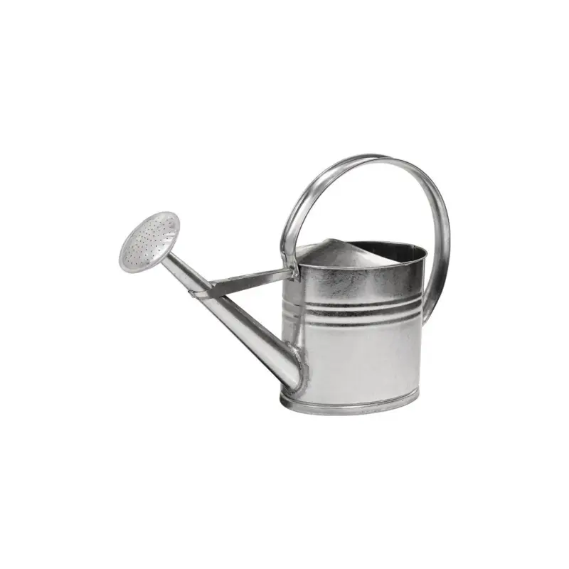 Jetzt Kaufen Gießkanne 10l silber MET verz.